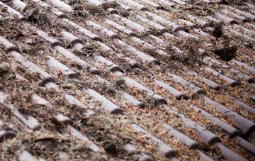 Lee Over Sands roof cleaning companies