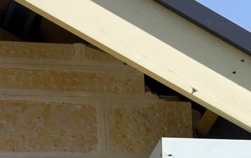 soffit repair Lee Over Sands